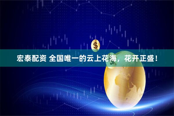 宏泰配资 全国唯一的云上花海，花开正盛！