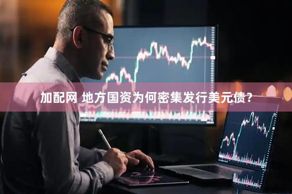 加配网 地方国资为何密集发行美元债？