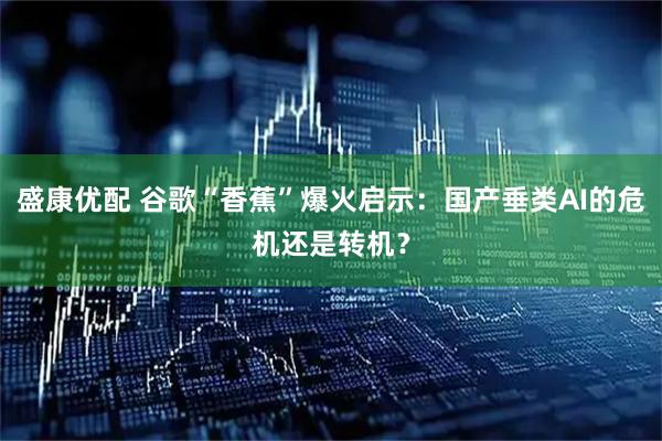 盛康优配 谷歌“香蕉”爆火启示：国产垂类AI的危机还是转机？