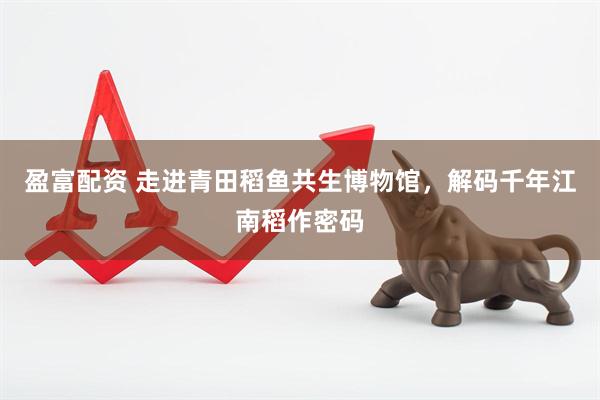 盈富配资 走进青田稻鱼共生博物馆，解码千年江南稻作密码