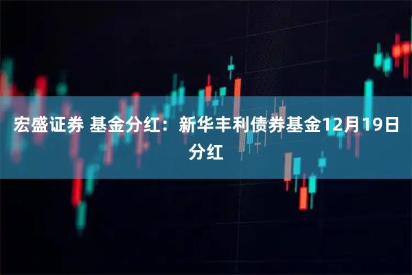 宏盛证券 基金分红:新华丰利债券基金12月19日分红